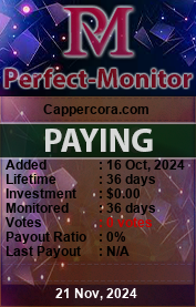 perfect-monitor.com